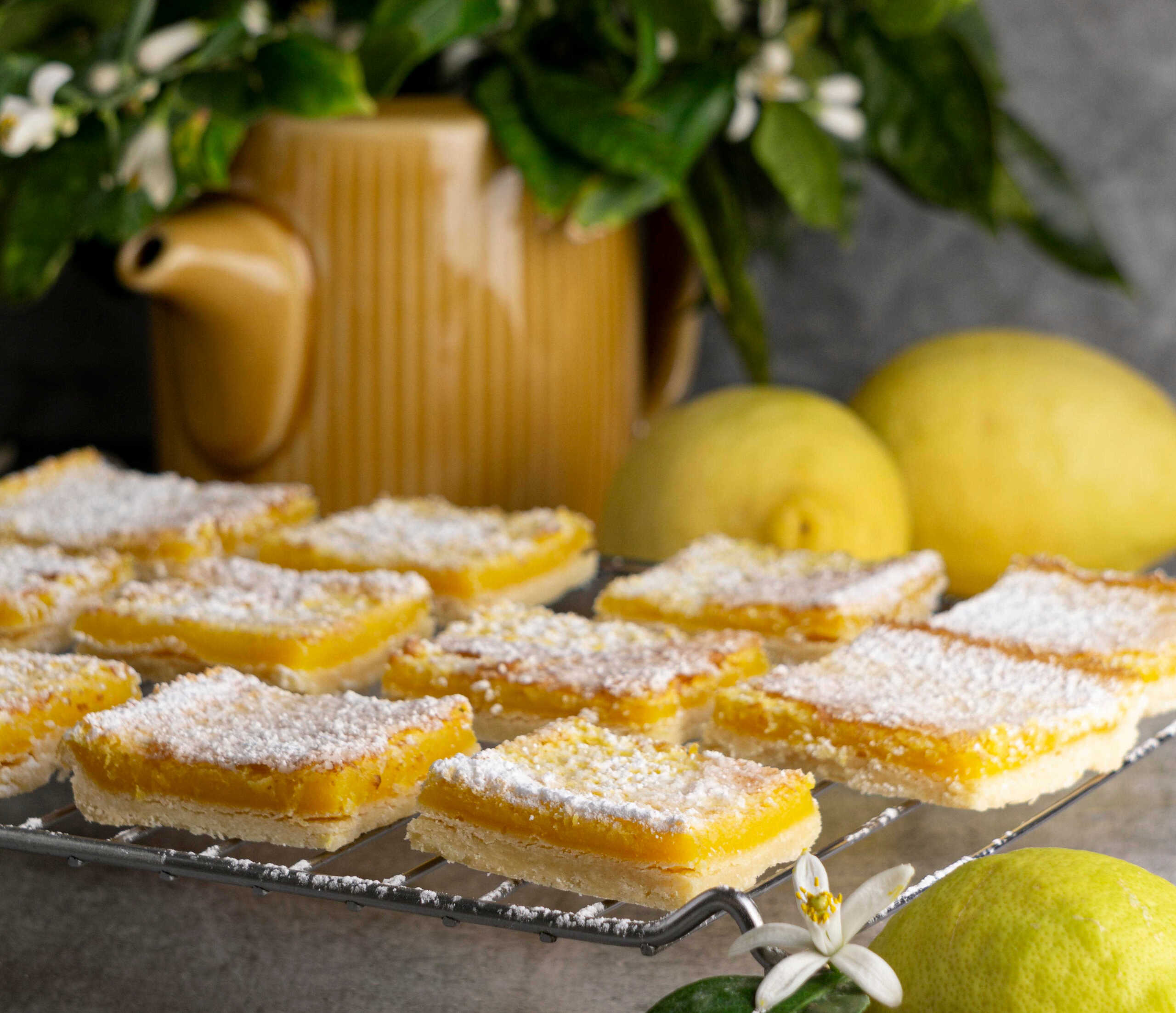 HEALTHY GLUTEN-FREE, DAIRY-FREE AND PALEO LEMON BARS